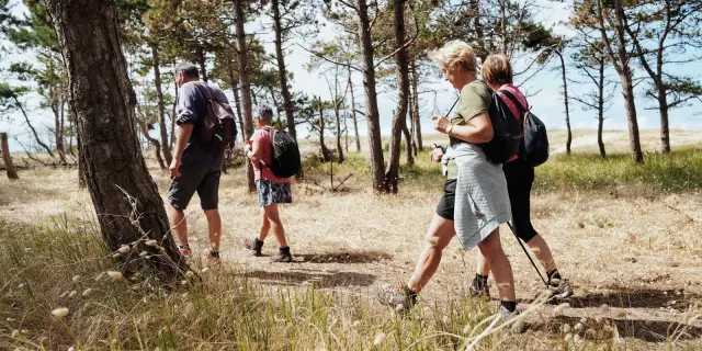 Groupe de randonneurs marchant sur un sentier à la pointe d'Agon