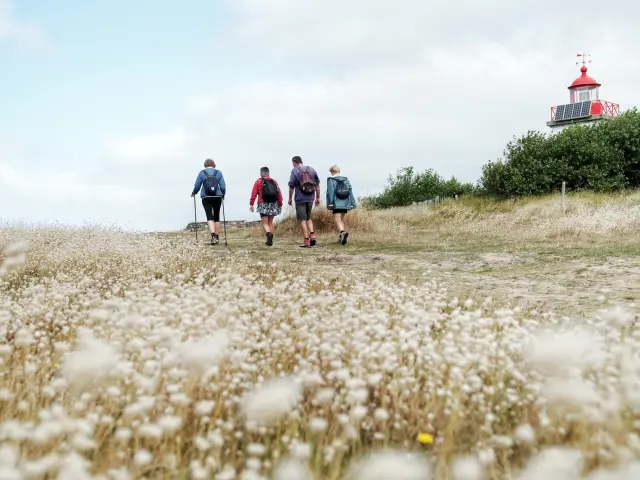 Quatre personnes marchent vers un phare sur un chemin herbeux à la pointe d'Agon