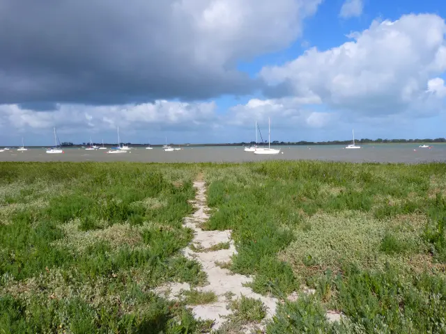 Segelboote am Steg in einem Yachthafen bei Sonnenuntergang