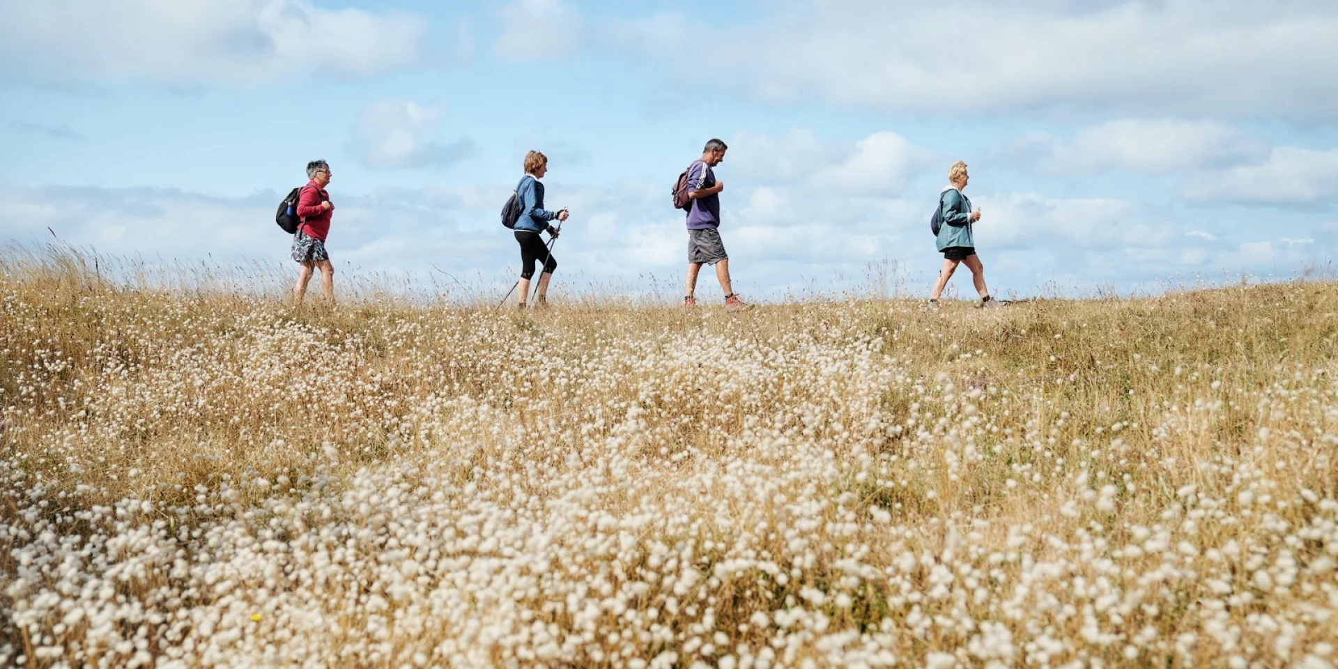 Wandern Coutances Mer Et Bocage 33