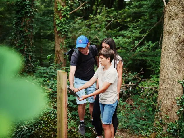 Un homme, une femme et un enfant marchent sur un sentier en forêt : randonnée