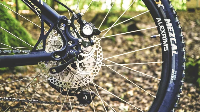 Roue De Velo