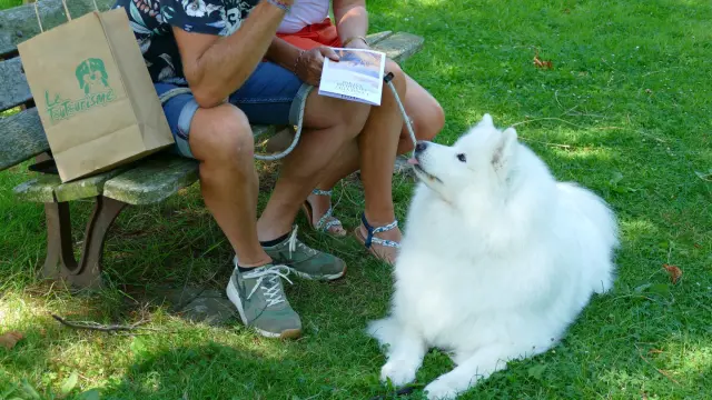 Deux personnes assises sur un banc avec un chien blanc
