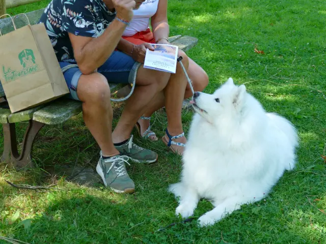 Deux personnes assises sur un banc avec un chien blanc