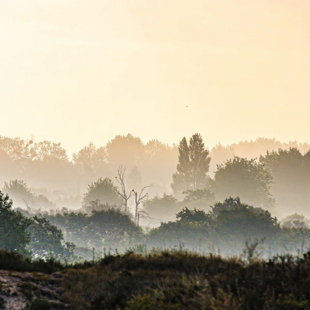 Instagram #coutancesnormandie