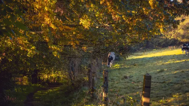 Deux personnes marchant sur une digue avec des voiliers amarrés en arrière-plan