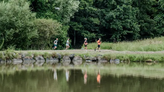 Quatre personnes courant le long d'un lac entouré d'arbres : trail, course à pied