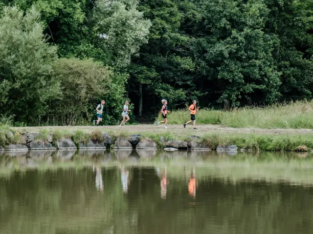 Quatre personnes courant le long d'un lac entouré d'arbres : trail, course à pied