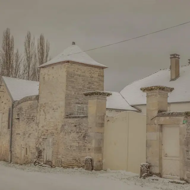 Instagram #anneville