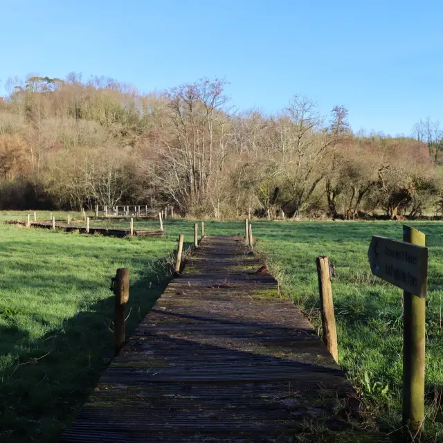 Promenade en bois longeant une plage avec des bancs et des arbres en arrière-plan
