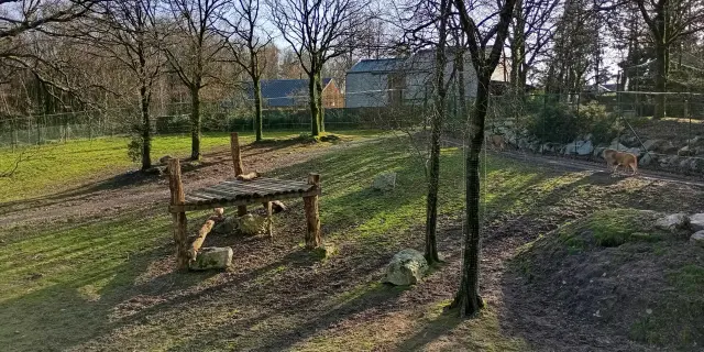 Enclos des lions au zoo de Jurques