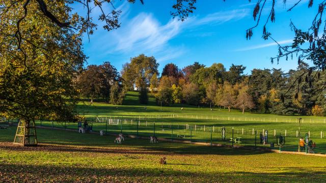 Le parc de la Verrerie et ses animaux, Le Creusot.