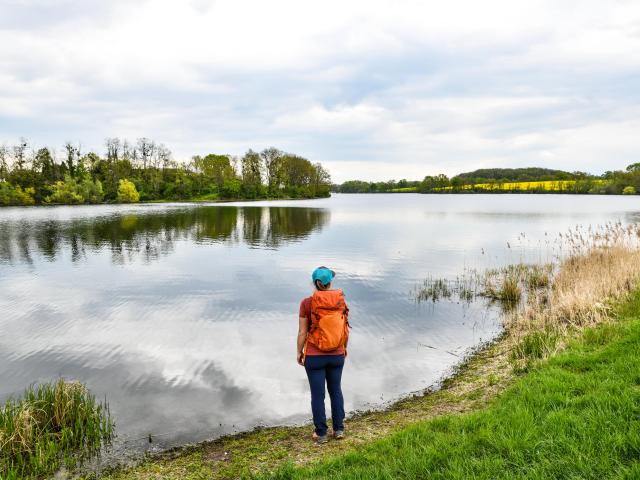 Etang De Torcy