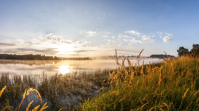 Lac De La Sorme dam Blanzy