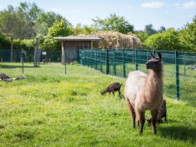 Parc Maugrand animal farm, Montceau-les-Mines