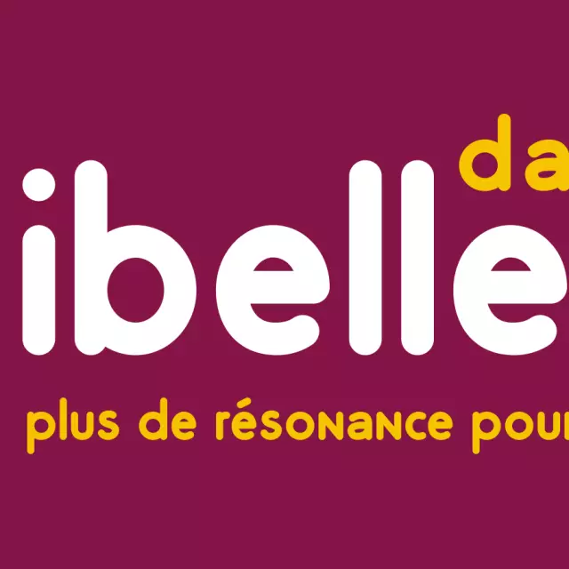 Décibelles Data logo.