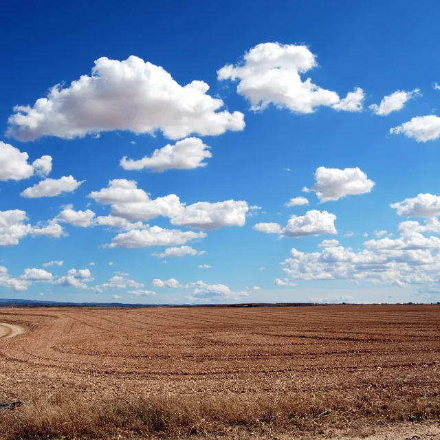 Field 533541image By Gianni Crestani From Pixabay