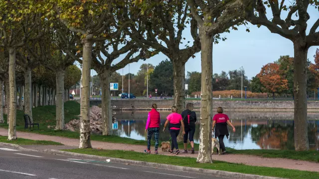 Lac du Plessis, Montceau-les-Mines