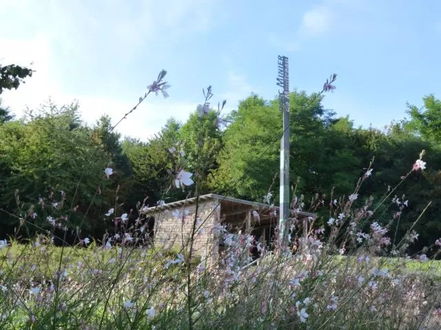 Parc Maugrand et Saint Louis, Montceau-les-Mines