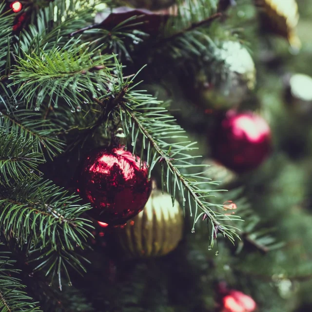 Décorations de Noël.