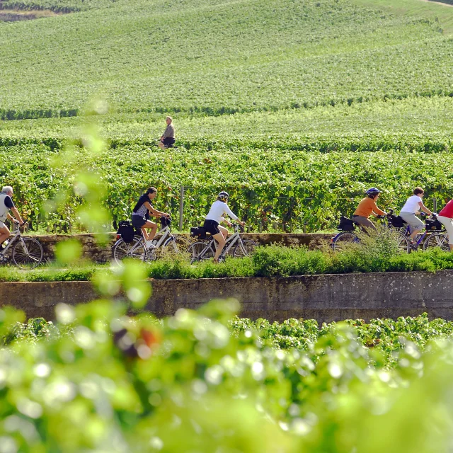 À vélo dans les vignes.