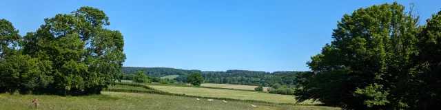 Au loin les forêts.