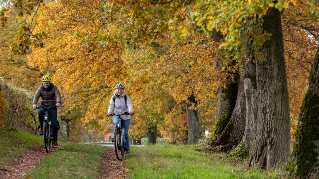 035 Etienne Ramousse Otccm Automne Cyclotourisme Hd