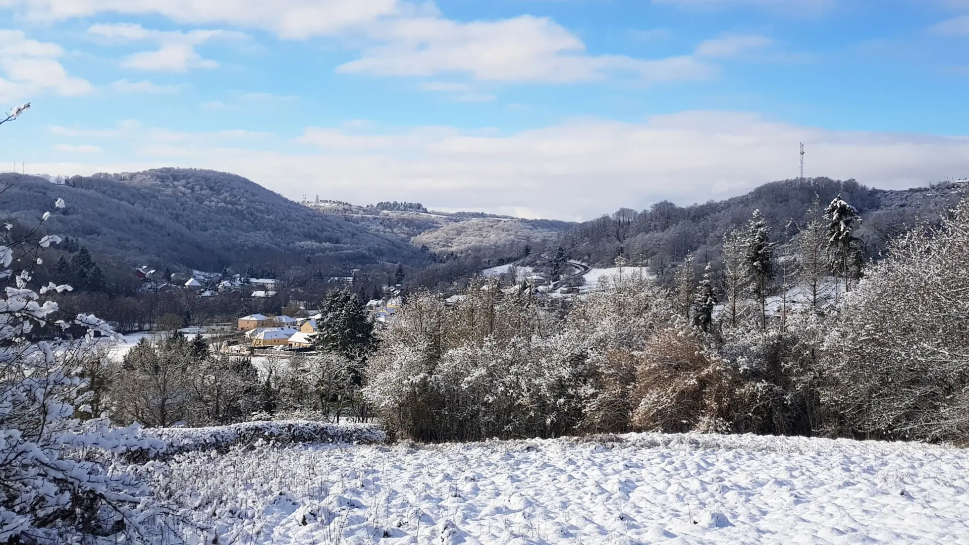 Paysage enneigé à Saint-Sernin-du-Bois.