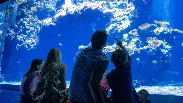 Famiglia Musee Oceanographique De Monaco Crt Cote D Azur France Olivierpuydebois9