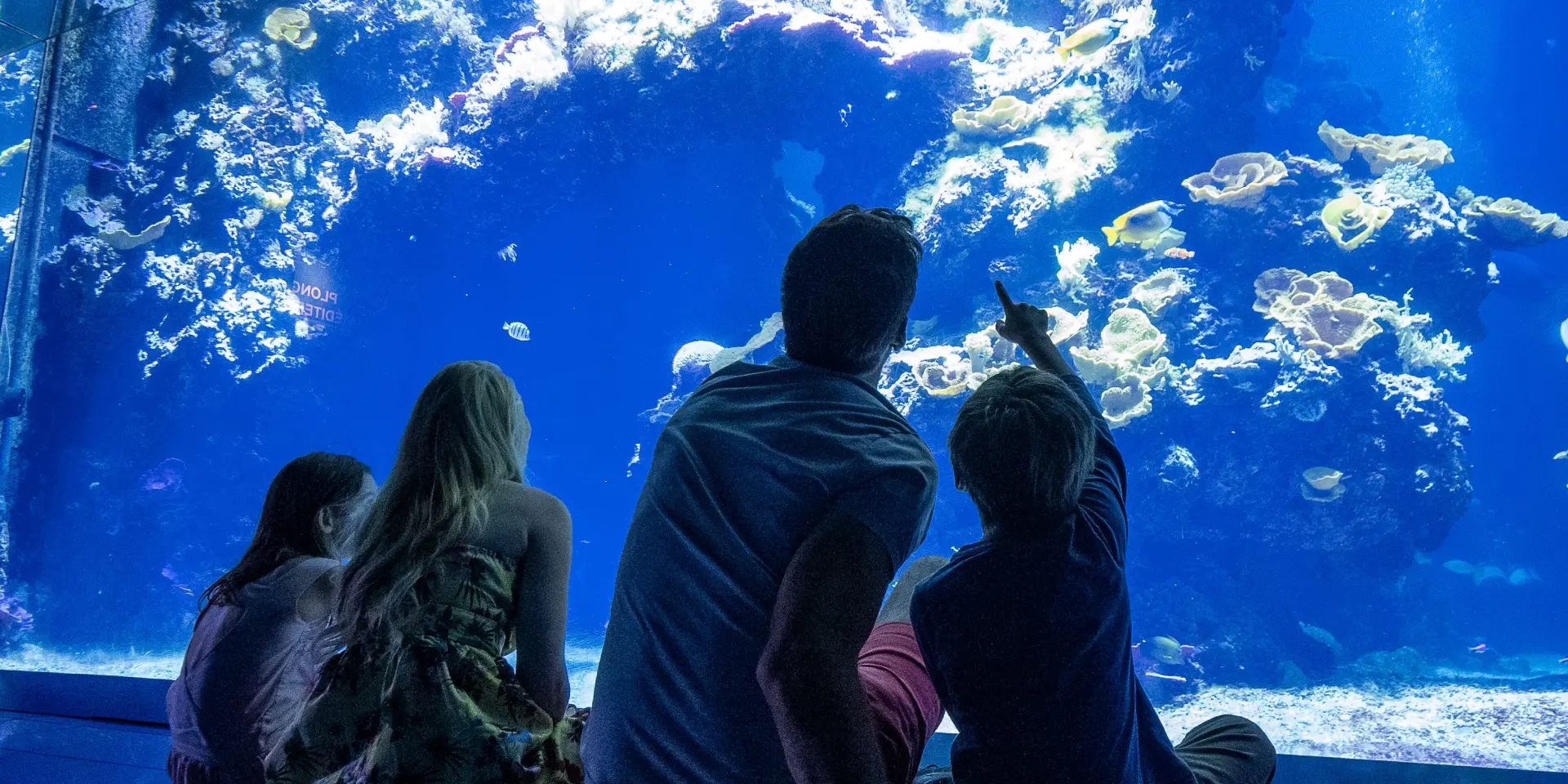 Family Musee Oceanographique De Monaco