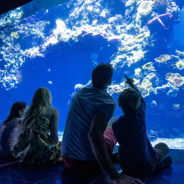 Famiglia Musee Oceanographique de Monaco