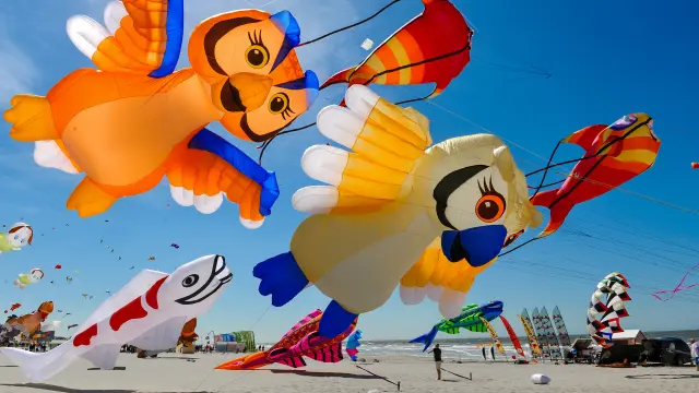 Northern France _ Berck-sur-Mer_Kite festival © Ville de Berck-sur-Mer