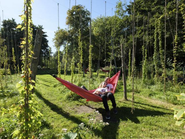 Amiens _ Festival Art Villes et Paysage © CRTC Hauts-de-France - Teddy Henin