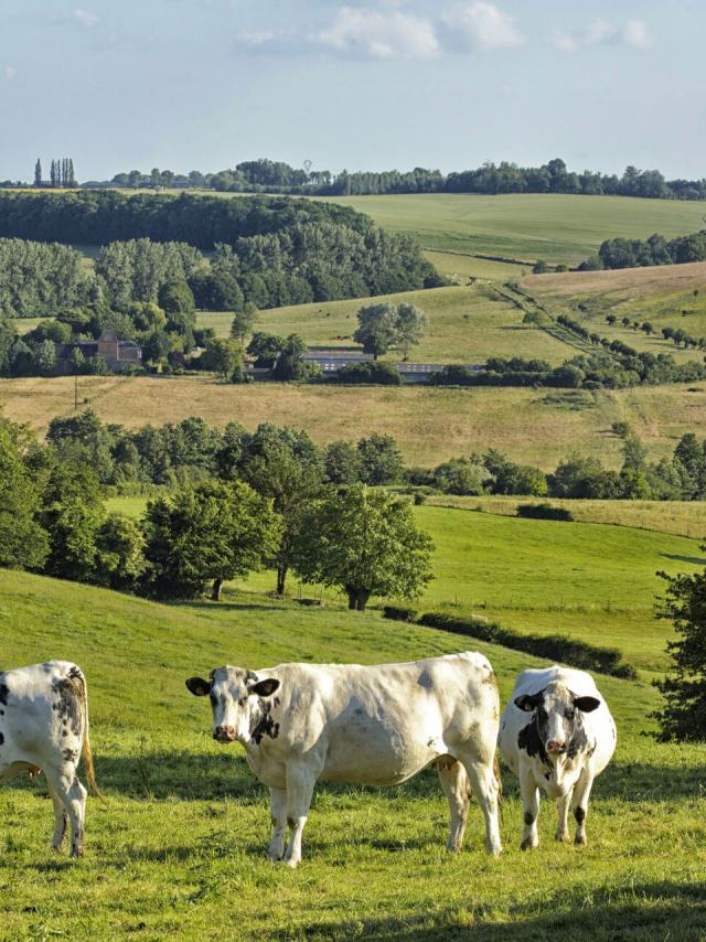 Noord-Frankrijk_France,Thierache