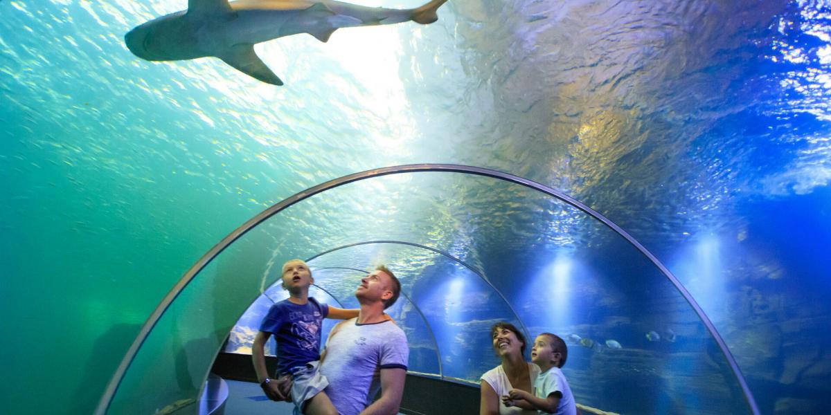 Nausicaa Centre National De La Mer évènements à Venir