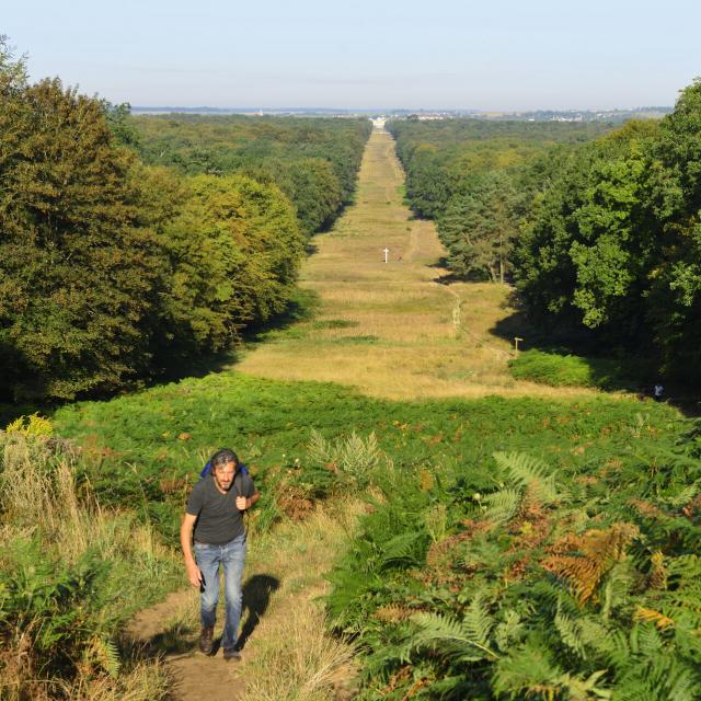 Compiègne, la forêt de Compiègne, Allée des Beaux Monts ©CRTC Hauts-de-France - Herve HUGHES