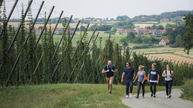 Flandre, Randonnée dans les houblonnières ©CRTC Hauts-de-France - Teddy Henin