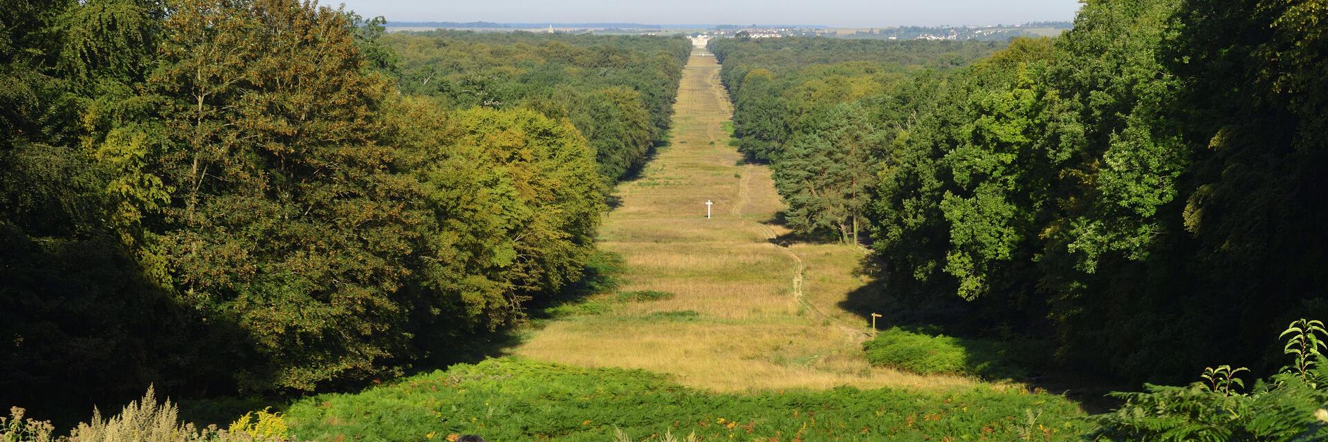 Noordfrankrijk_Compiègne, forêt de Compiègne et trouée des Beaux-Monts © Hauts-de-France Tourisme_Hervé Hughes