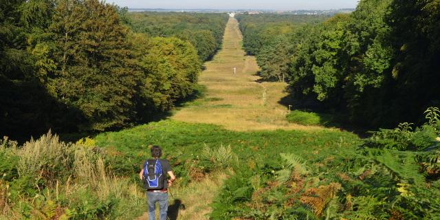 Compiègne, forêt de Compiègne et trouée des Beaux-Monts ©CRTC Hauts-de-France - Hervé Hughes