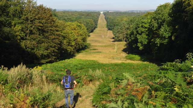 Noordfrankrijk_Compiègne, forêt de Compiègne et trouée des Beaux-Monts © Hauts-de-France Tourisme_Hervé Hughes