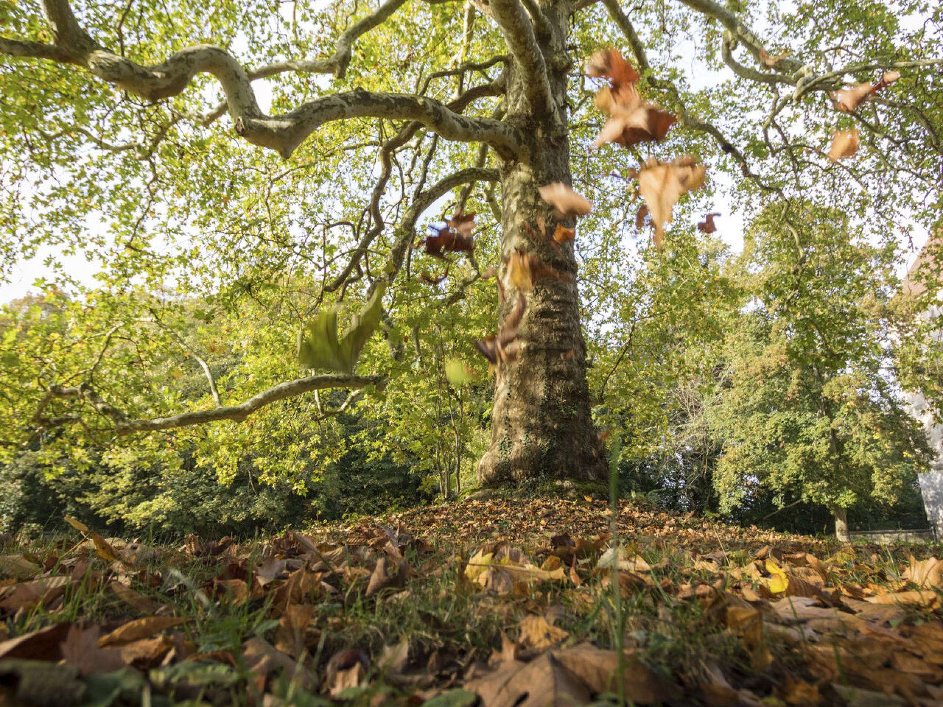 Escape to the Fairytale World of the Domaine de Chantilly | Hauts-de ...