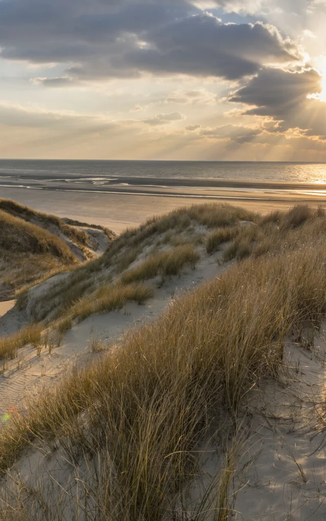 Les dunes du Marquenterre entre Fort-Mahon et la Baie d'Authie © CRTC Hauts-de-France - Stéphane Bouilland