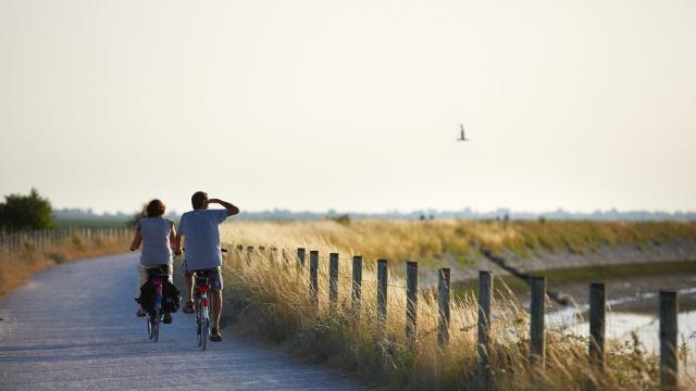 Le Crotoy_balade à vélo en bord de mer ©CRTC Hauts-de-France - Guillaume Crochez