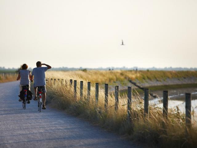 Le Crotoy_balade à vélo en bord de mer ©CRTC Hauts-de-France - Guillaume Crochez
