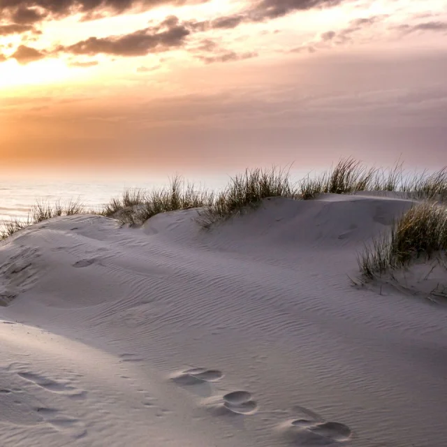 Dünen bei Sonnenuntergang in Le Touquet-Paris-Plage, Copyright: CRTC Hauts-de-France - Ishak Najib