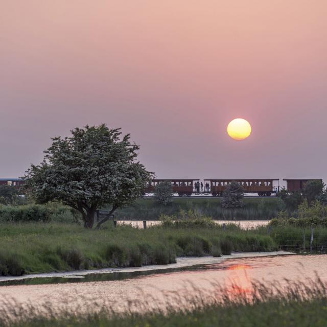 Northern France _ Le Crotoy_Saint-Valery-sur-Somme_ steam train © CRTC Haut-de-France - Nicolas Bryant