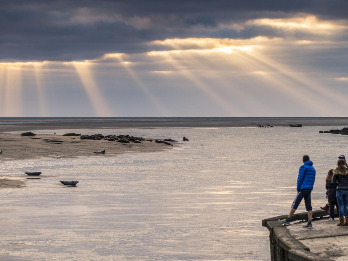 Panoramas sauvages la Baie d’Authie, l’autre baie Site officiel