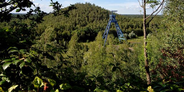 Bergbaubecken im Wald Raismes, Copyright: CRTC Hauts-de-France - Sébastien Jarry