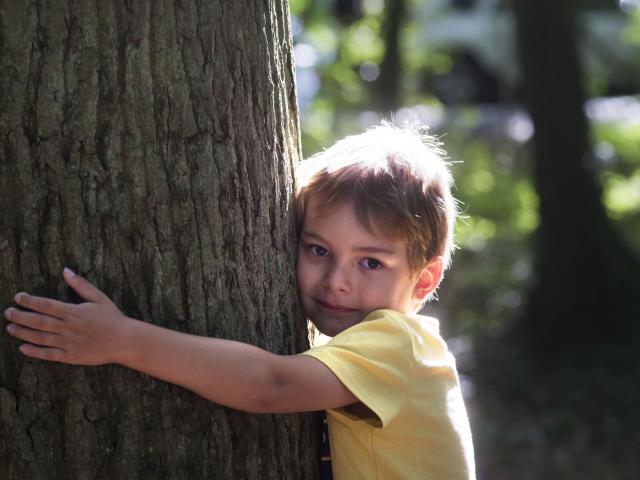 Raismes _ Forêt Saint Amand Wallers © CRTC Hauts-de-France - Sébastien Jarry