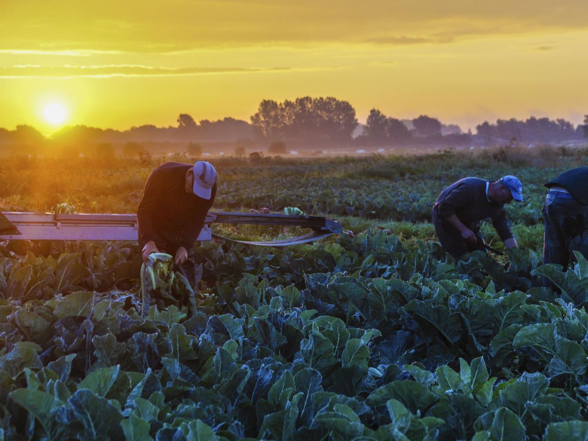 The Audomarois marshes of Saint Omer HautsdeFrance Tourism